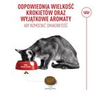 Royal Canin, FHN Cat Ageing Sterilised 11+, sucha karma dla kotów sterylizowanych, 4kg