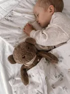 Szumisie, Miś dla starszaków, maskotka z mechanizmem szumiącym 5w1, brązowy, 36 cm