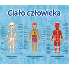 Trefl, Mistrz Wiedzy, Wynalazki + Ciało człowieka, gry edukacyjne, zestaw promocyjny