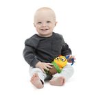 Baby Einstein, Cal-a-Puller, zabawka sensoryczna z zawieszką