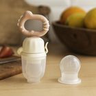 BabyOno, gryzak do podawania pokarmów, dino