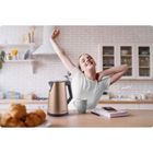 Berdsen, czajnik elektryczny, miedziany, 1,7l, BD-708