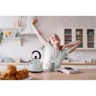 Berdsen, czajnik elektryczny z termometrem, szary, 1.7l, BD-701