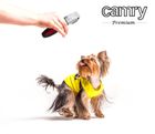 Camry, strzyżarka dla zwierząt, 35W, CR 2821