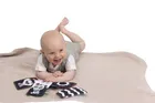 Chicco, Baby Sense & Focus, kontrastowe karty sensoryczne, czarno-białe