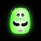 Chicco, Panda, lampka nocna