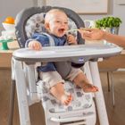 Chicco, Polly Progres5, krzesełko do karmienia 5w1, Anthracite