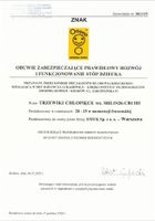 Cool Club, Trzewiki chłopięce, pachnące, niebieskie, Zdrowa Stopa, podeszwa Barefoot