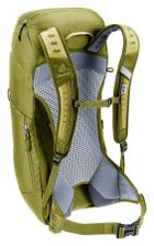 Deuter, AC Lite 16, plecak turystyczny, linden/cactus