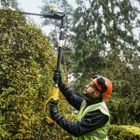 DeWalt, nożyce do żywopłotu, 65 cm, 54V, DCMPH566N