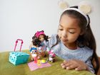 Enchantimals, Niedźwiadkowy piknik, lalka z figurkami i akcesoriami