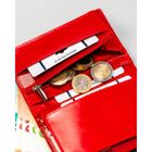 Etui na dokumenty, czerwone, skórzane, Rovicky