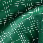 Eurofirany, zasłona zaciemniająca gotowa, D91 Poli, 140-250 cm, zielony