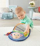 Fisher-Price, Lustereczko Małpka, zabawka niemowlęca