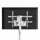 Gembird, stojak na telewizor, 37"-86"
