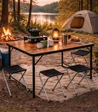 Hedo, zestaw stół turystyczny i 4 krzesła, składany w walizkę, 5w1, brązowy