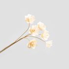 Homla, Alba, bukiet kwiatów, lilia wodna z drewna, 50 cm