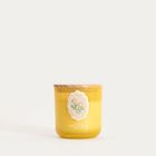 Homla, Crohet, świeca zapachowa, Spring Garden, 300g