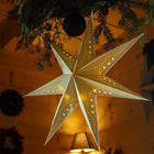 Homla, Galla, gwiazda, ażurowa, biała, LED,