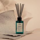 Homla, Verde, dyfuzor zapachowy, Cashmere Patchouli, 120 ml