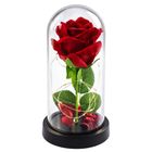 Lean Toys, wieczna róża w kopule, z oświetleniem LED, czerwona, 21-11 cm