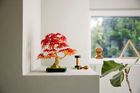 LEGO Botanicals, Klon palmowy bonsai, 10348