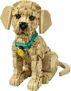 LEGO Icons, Szczeniak golden retriever, 11384