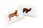 Lucrum Games, Czy wiesz, który zwierz...? Kieszonkowa fauna Afryki i Azji, gra edukacyjna