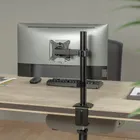 Maclean, uchwyt biurkowy do monitora, LCD MC-572N