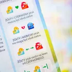 Muduko, Ptaki, 60 zagadek, gra logiczna