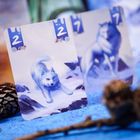 Muduko, Samotne Wilki, Pojedynek, gra karciana