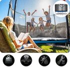 Neo-Sport, trampolina ogrodowa z siatką zewnętrzną i drabinką, 10ft/312 cm
