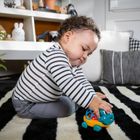 Oball, Curious Car Neptune, samochód z grzechotką, zabawka niemowlęca, Żółw