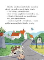 Operacja Rupieciarz. Biuro detektywistyczne nr 2