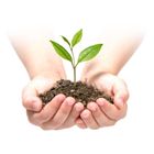 Plonos, agrowłóknina ogrodowa, czarna, 175m + szpilki, 50 szt.