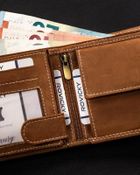 Portfel, brązowy, skórzany, Always Wild