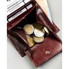 Portfel, brązowy, skórzany, RFID, Always Wild