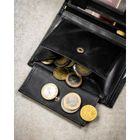 Portfel, czarny, skórzany, Peterson