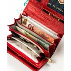 Portfel, czerwony, Peterson