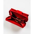 Portfel, czerwony, skórzany, Rovicky