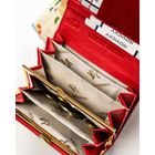 Portfel, czerwony, skórzany, Rovicky