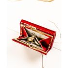 Portfel, czerwony, skórzany, Rovicky