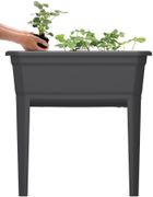 Prosperplast, szklarnia stojąca, rozsadnik, antracytowa, 59,6-36,8-75,3 cm