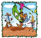 Rebel, Fasolki, gra karciana