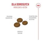 Royal Canin, FHN Cat Ageing Sterilised 11+, sucha karma dla kotów sterylizowanych, 4kg