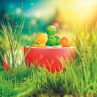 Smart Games, Jabłko Puzzler, gra logiczna