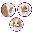 Smiki, Piesek w salone piękności, zestaw z interaktywną maskotką i transporterem