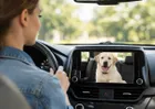 Xblitz, Coco, bezprzewodowy adapter carplay z funkcją niani elektronicznej