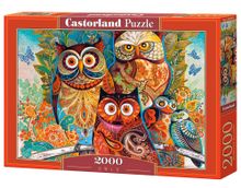 Castorland, Sowy, puzzle, 2000 elementów