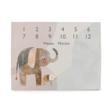 Ceba Baby, Basic, Elephant Family, foto mata, 92-72 cm